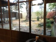 茶室「芳土庵」からの眺め<br />十八代前田利祐様命名「松濤庭」には金沢市指定樹木/樹齢500年の赤松「折鶴の松」がそびえる