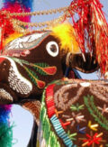Bumba-meu-boi (Maranhão)