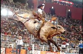 Rodeio