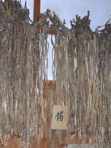 KÔZO
