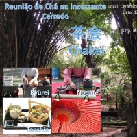 Reunião de Chá no incessante Cerrado
