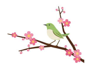 7 梅に鶯 茶道裏千家ブラジル